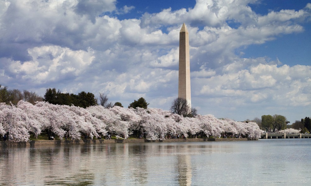 ワシントンD.C.の治安が良いエリア