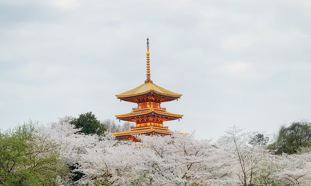 武漢旅行の治安まとめ